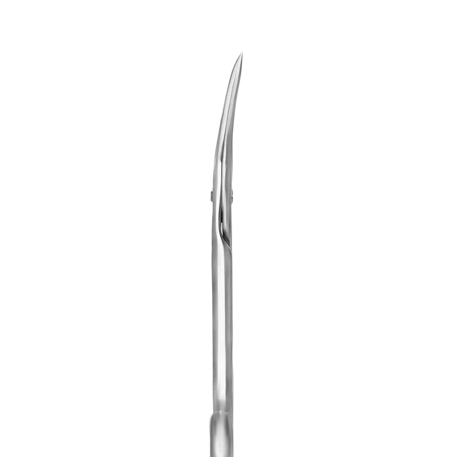 Tesoura Staleks CLASSIC SC-11/1 - Image 2